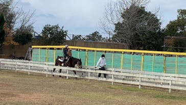 淡路ファームパーク イングランドの丘に投稿された画像（2022/12/11）