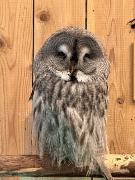 伊豆シャボテン動物公園に投稿された画像（2022/12/11）