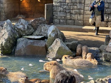 伊豆シャボテン動物公園に投稿された画像（2022/12/11）