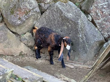 伊豆シャボテン動物公園に投稿された画像（2022/12/11）