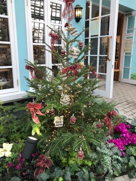 安城産業文化公園デンパークに投稿された画像（2022/12/11）