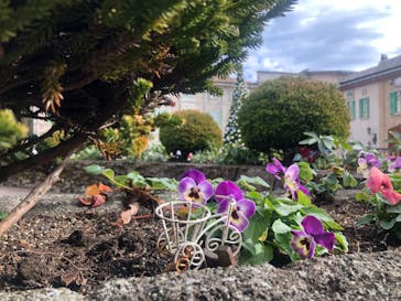 星の王子さまミュージアム 箱根サン=テグジュペリに投稿された画像（2022/12/11）