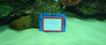 サンシャイン水族館に投稿された画像（2022/12/11）