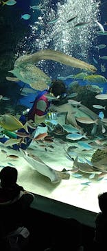 サンシャイン水族館に投稿された画像（2022/12/11）
