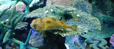 サンシャイン水族館に投稿された画像（2022/12/11）