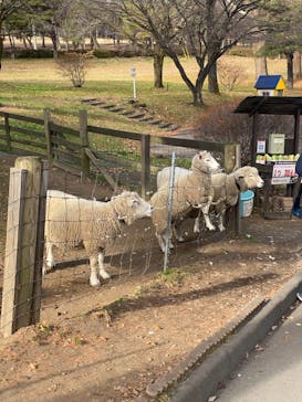 伊香保グリーン牧場に投稿された画像（2022/12/11）