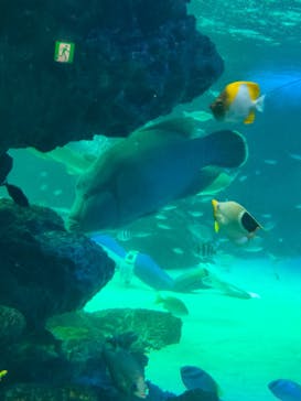 サンシャイン水族館に投稿された画像（2022/12/11）