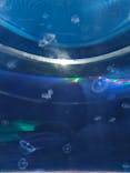 九十九島水族館海きららに投稿された画像（2022/12/11）