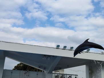 九十九島水族館海きららに投稿された画像（2022/12/11）