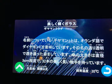 マクセル アクアパーク品川に投稿された画像（2022/12/11）