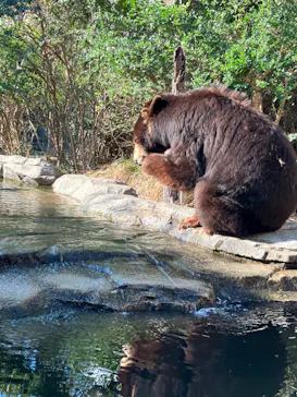 神戸どうぶつ王国に投稿された画像（2022/12/11）