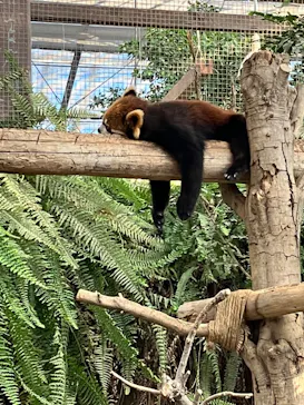 神戸どうぶつ王国に投稿された画像（2022/12/11）