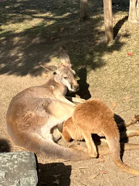 神戸どうぶつ王国に投稿された画像（2022/12/11）