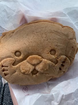 ゼロ距離水族館 伊勢シーパラダイスに投稿された画像（2022/12/11）