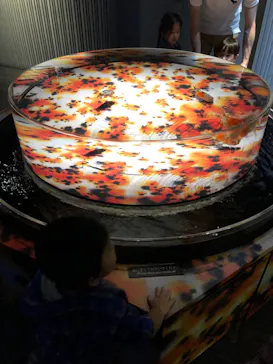 すみだ水族館に投稿された画像（2022/12/11）