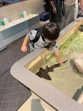 新江ノ島水族館に投稿された画像（2022/12/11）