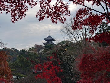 三溪園に投稿された画像（2022/12/11）