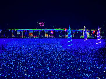 東武動物公園に投稿された画像（2022/12/11）