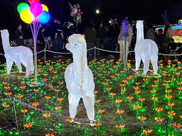 東武動物公園に投稿された画像（2022/12/11）