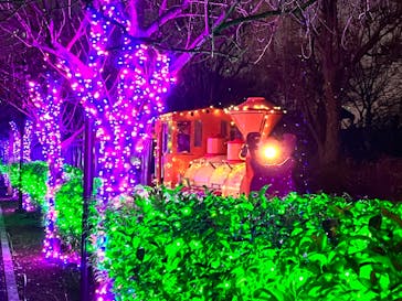 東武動物公園に投稿された画像（2022/12/11）