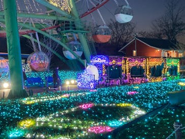 さがみ湖MORI MORIに投稿された画像（2022/12/11）