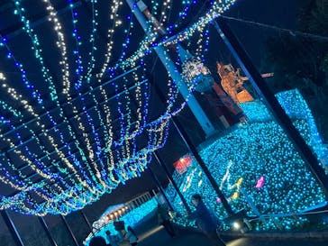 さがみ湖MORI MORIに投稿された画像（2022/12/11）