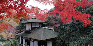 三溪園に投稿された画像（2022/12/11）