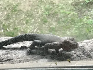 天王寺動物園に投稿された画像（2022/12/11）