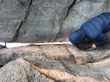 天王寺動物園に投稿された画像（2022/12/11）