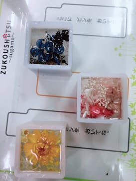 ずこうしつ〜sugamo〜に投稿された画像（2022/12/11）