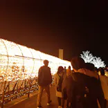 東京メガイルミに投稿された画像（2022/12/10）