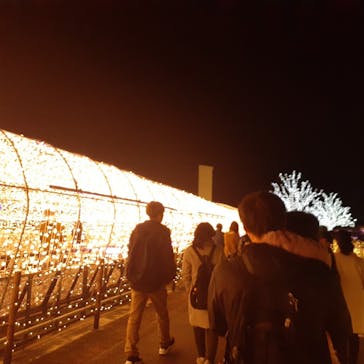 東京メガイルミに投稿された画像（2022/12/10）