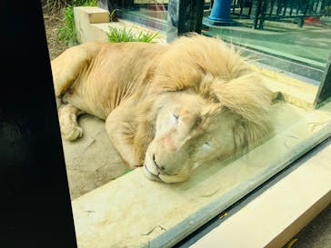 沖縄こどもの国に投稿された画像（2022/12/11）