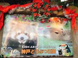 神戸どうぶつ王国に投稿された画像（2022/12/11）