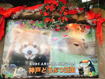 神戸どうぶつ王国に投稿された画像（2022/12/11）