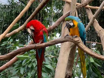 神戸どうぶつ王国に投稿された画像（2022/12/11）