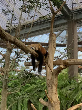 神戸どうぶつ王国に投稿された画像（2022/12/11）