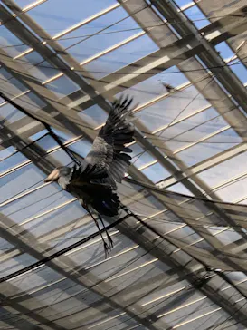 神戸どうぶつ王国に投稿された画像（2022/12/11）