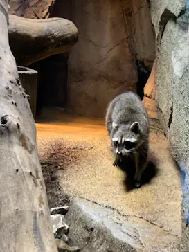 神戸どうぶつ王国に投稿された画像（2022/12/11）