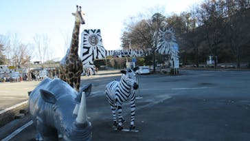 群馬サファリパークに投稿された画像（2022/12/11）