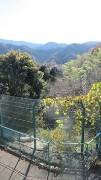 群馬サファリパークに投稿された画像（2022/12/11）