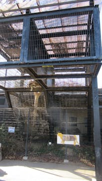 群馬サファリパークに投稿された画像（2022/12/11）