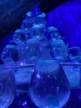 新江ノ島水族館に投稿された画像（2022/12/11）