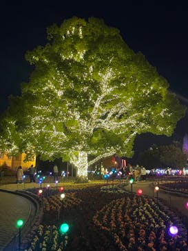 安城産業文化公園デンパークに投稿された画像（2022/12/11）