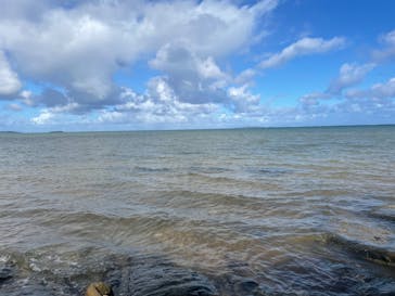 西表島 ADVENTURE PiPi（アドベンチャーピピ）に投稿された画像（2022/12/11）