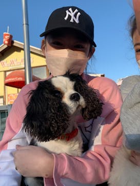 IPCわんわん動物園に投稿された画像（2022/12/11）