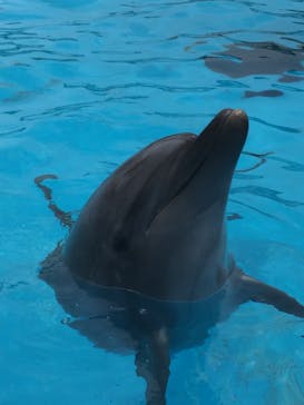 南知多ビーチランド＆南知多おもちゃ王国に投稿された画像（2022/12/11）