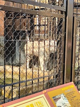 東武動物公園に投稿された画像（2022/12/11）