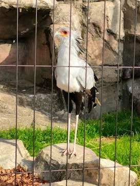 東武動物公園に投稿された画像（2022/12/11）