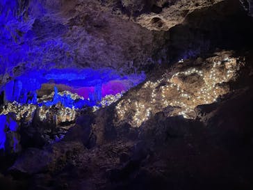 石垣島鍾乳洞に投稿された画像（2022/12/11）